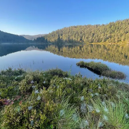 Peaceful Lakefront Tjaldal
