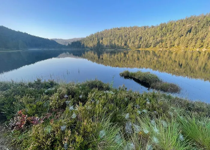 Peaceful Lakefront Tjaldal